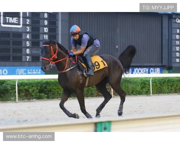 澳门赛马会网站常见问题解答，快速解决用户在注册登录中的各种疑问